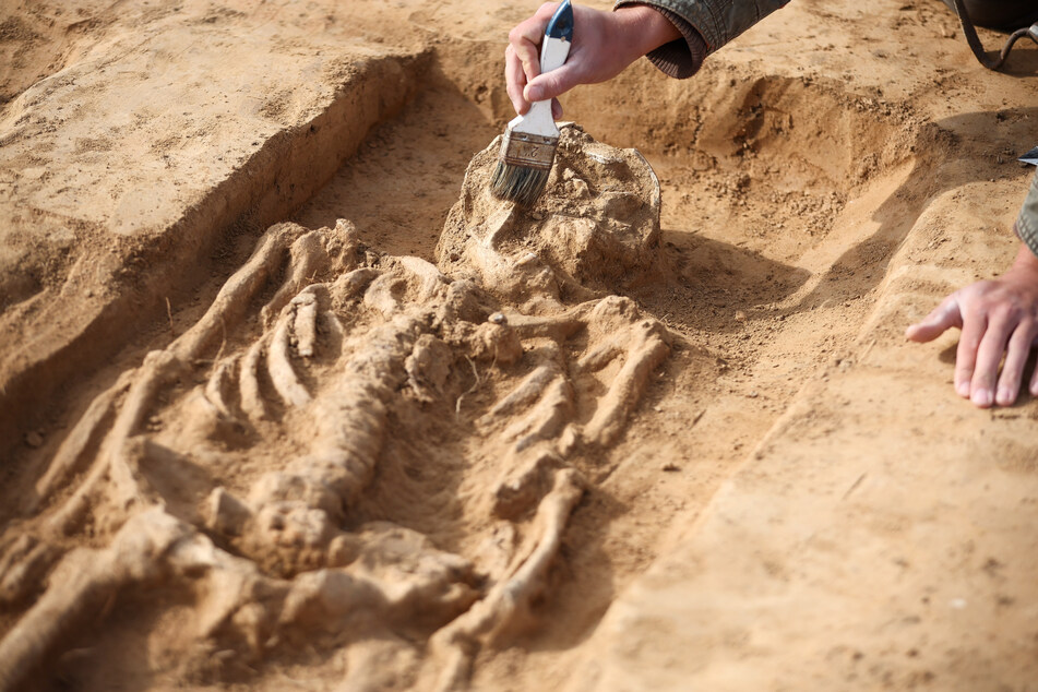 Die gefundenen Skelette stammen wohl von einem Mann und einer Frau.