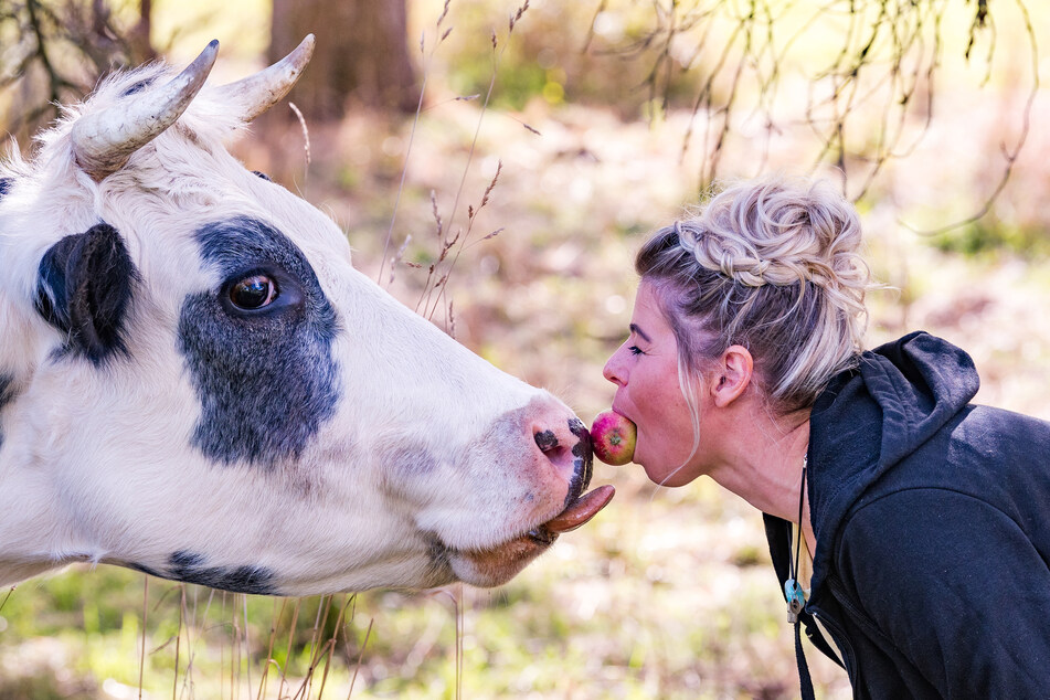 "Tierliebe" auf ganz besondere Weise zeigt Denise Horn (35) auf einem Oschatzer Gnadenhof für Kühe.