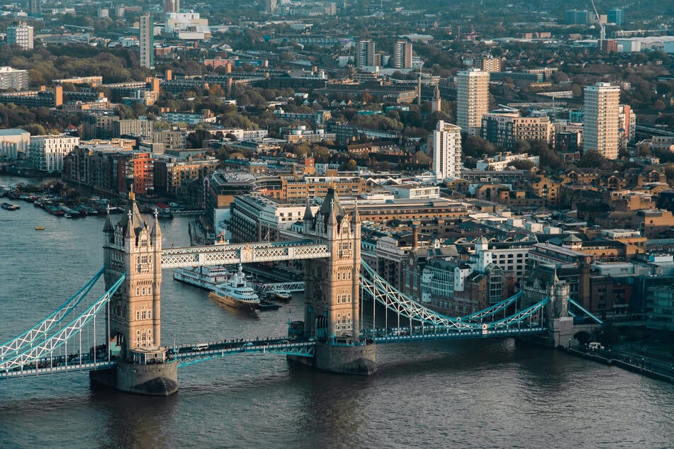 Die letzten zwei Jahre hat Jack in einem Tierheim in London verbracht. (Symbolbild)