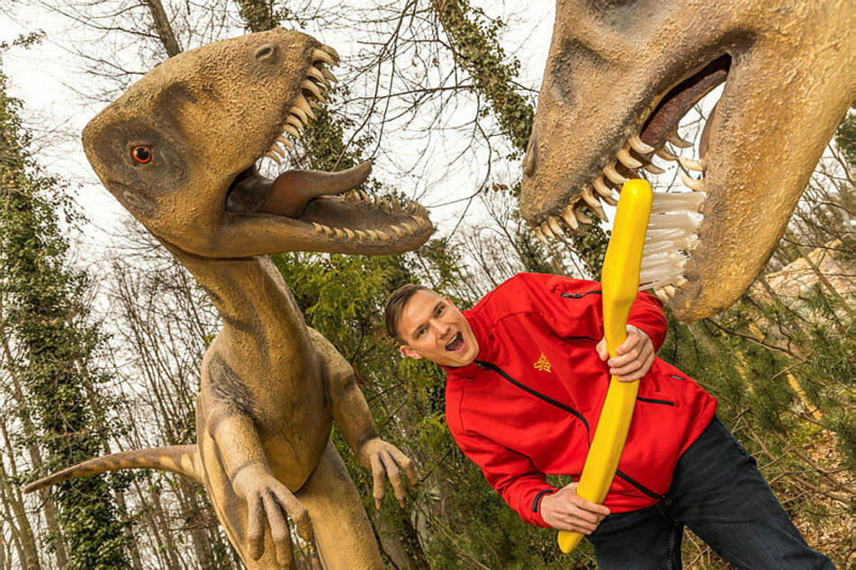 Vor der Eröffnung muss alles blitzblank sein - Tim Kalich (31) putzt sogar den Dinos die Zähne.