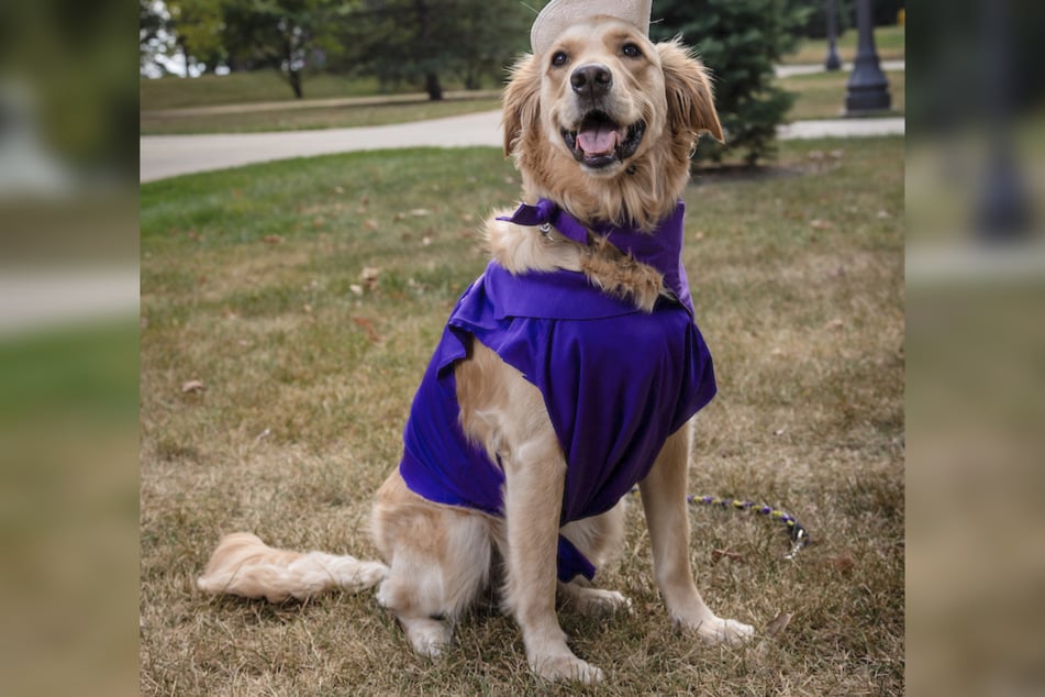 Als stolzes Mitglied der University of Northern Iowa trägt Winnie sogar ein extra für ihn angefertigtes Leibchen.