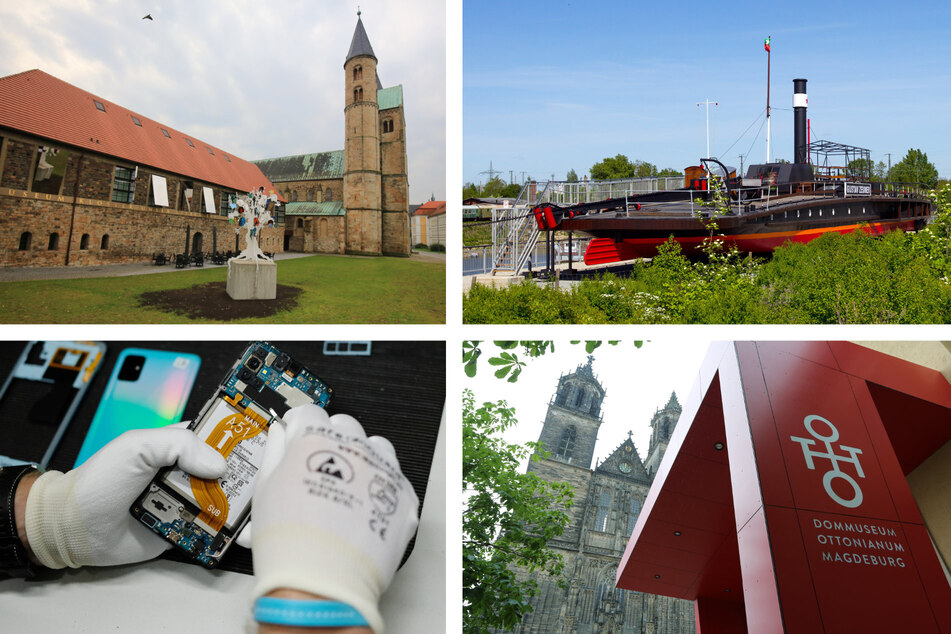 Internationaler Museumstag in Magdeburg: Das sind unsere vier Ausflugstipps