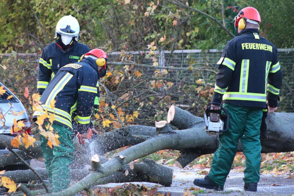 Berlin: Heftige Schäden durch Sturmtief "Hendrik": Berliner Feuerwehr "nahezu am Limit"