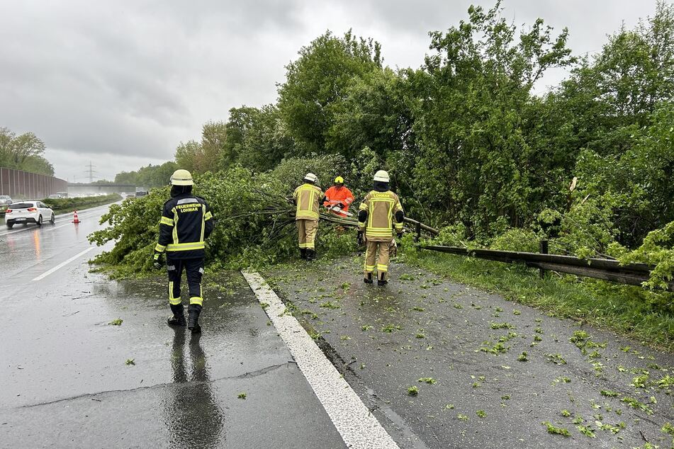 Auf der A3 bei Lohmar stürzte ein Baum auf den rechten Fahrstreifen der Autobahn.