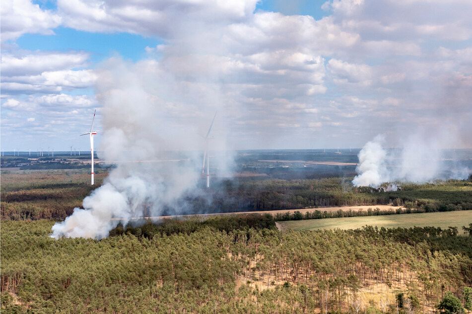 Mehrere Waldbrände: Brandenburg bleibt nicht vom Feuer verschont!