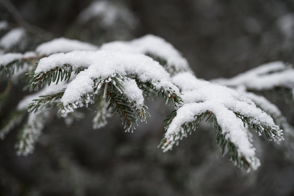 Der Deutsche Wetterdienst hat für Freitag leichten Schneefall in NRW angekündigt.