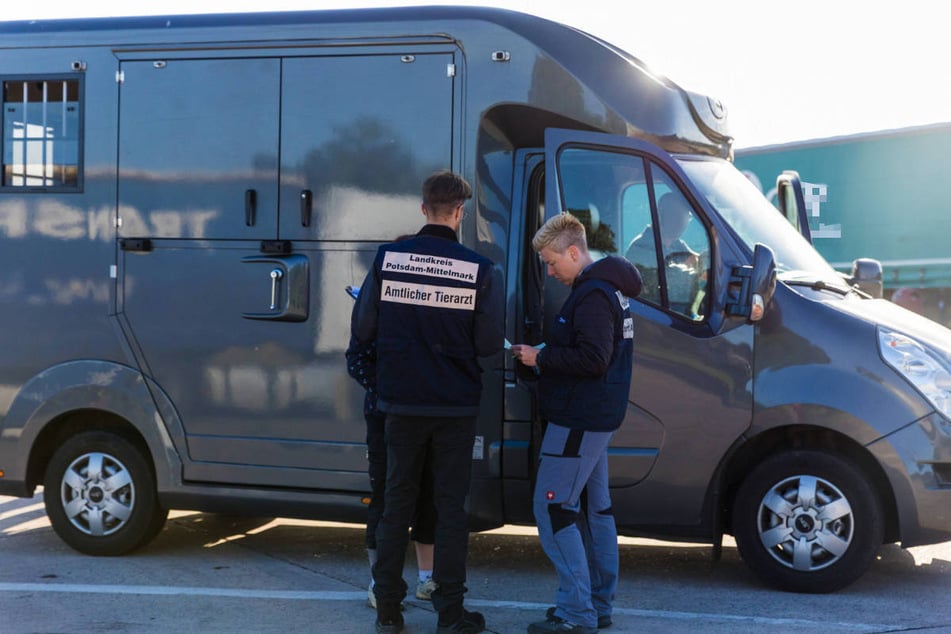 Auch kleinere Tiertransporter wurden unter die Lupe genommen.
