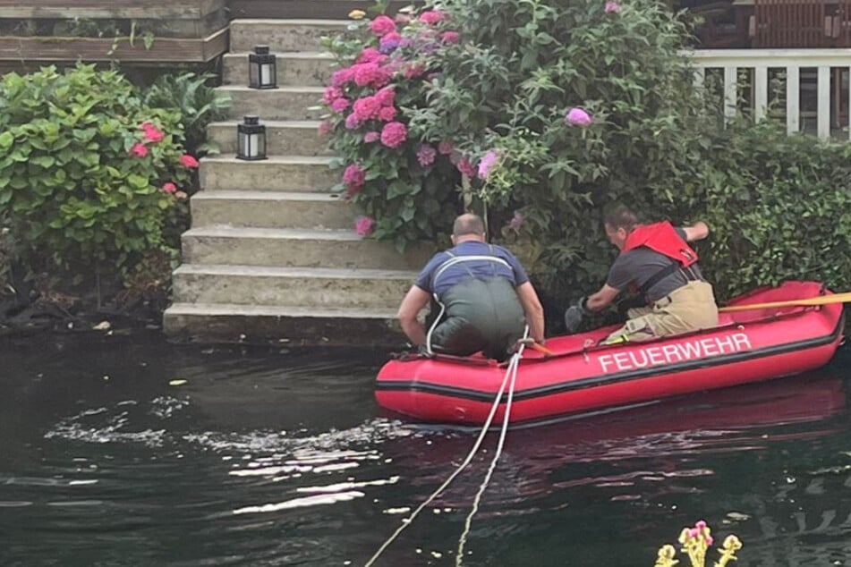 Tierischer Rettungseinsatz: Erschöpfter Hund schwimmt in Kanal und findet nicht heraus