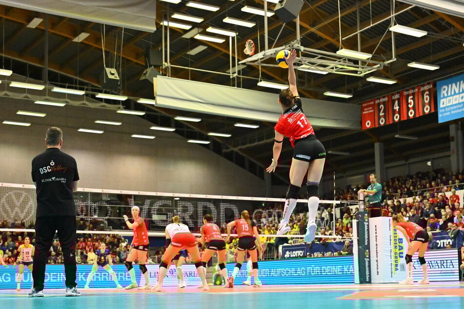 Die DSC-Schmetterlinge bekommen keine moderne Arena. Ihre Margonhölle wird höchstens für fünf Millionen Euro saniert.