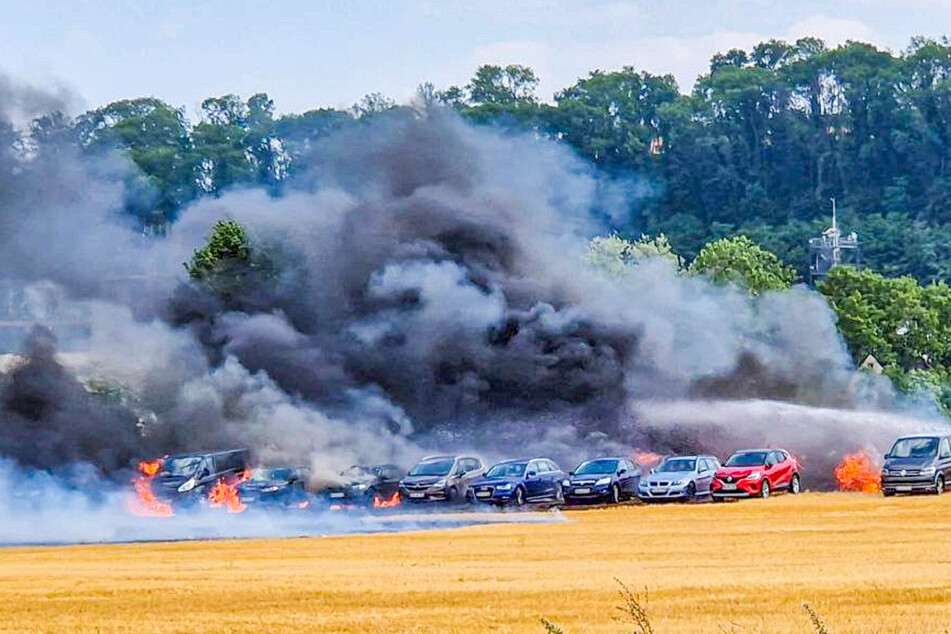 Anfang Juli waren mehrere Autos auf einem Feld in Bad Wimpfen den Flammen zum Opfer gefallen.