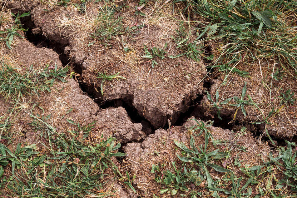 Ausbleibende Niederschläge verschärfen das Grundwasserproblem in vielen Regionen Brandenburgs zusätzlich. (Symbolfoto)