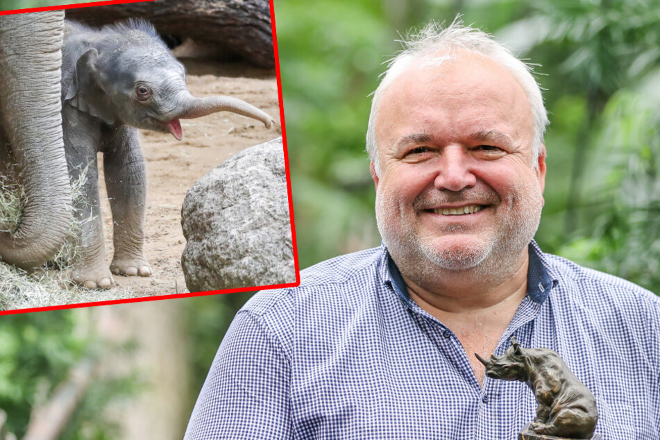 Riverboat: Leipzigs Zoodirektor erklärt: So geht's Baby-Elefant Kiran wirklich!
