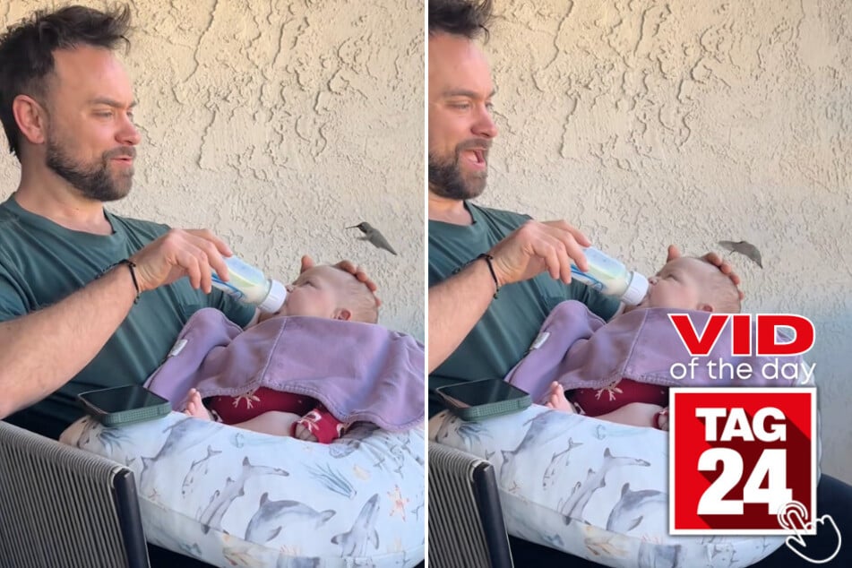 This hummingbird flew in to meet a newborn and completely stunned the parents!