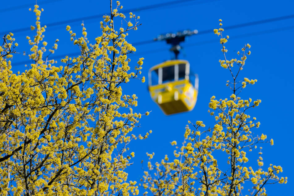 Die Kölner Seilbahn bietet bei der Sternschnuppenfahrt einen besonderen Blick auf die Domstadt.