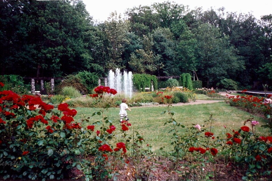 Zu DDR-Zeiten hat der Brunnen an der Pelzmühle noch gesprudelt.