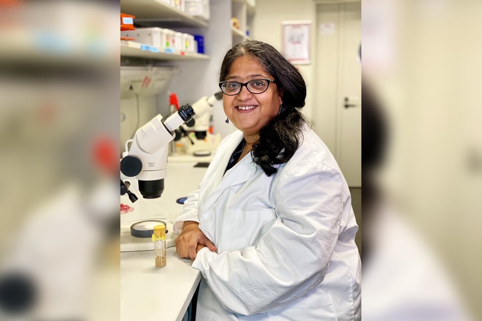 Dr. Sarita Hebbar (43) untersucht die Netzhäute von Fruchtfliegen mithilfe eines leistungsstarken Mikroskops.