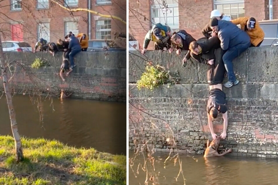 This dog was pulled out of a canal and the sweet rescue was caught on camera.