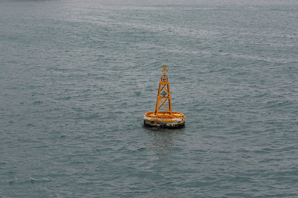 An einer Boje fand Qin einige Krebstiere. Diese waren in der Woche, die er auf dem offenen Meer trieb, seine einzige Nahrung. (Symbolfoto)