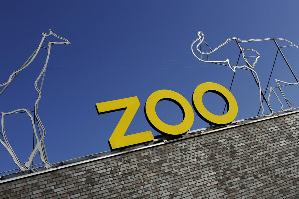 Das Neueste aus dem Kölner Zoo und tierische News gibt es täglich auf TAG24.