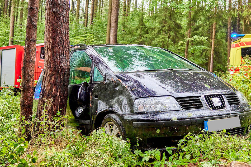 Autofahrerin weicht Fahrzeug aus und prallt gegen Baum - Unfallverursacher flüchtet