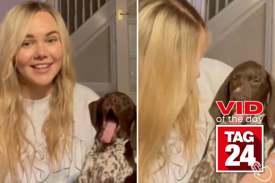 Today's Viral Video of the Day features a pup with a very adorable and unusual yawn!