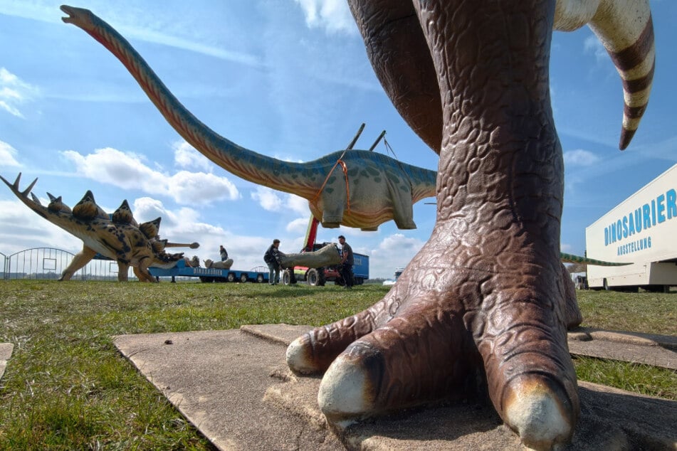 Über 70 Urzeitwesen stehen seit diesem Wochenende in Zwickau auf dem Flugplatz.