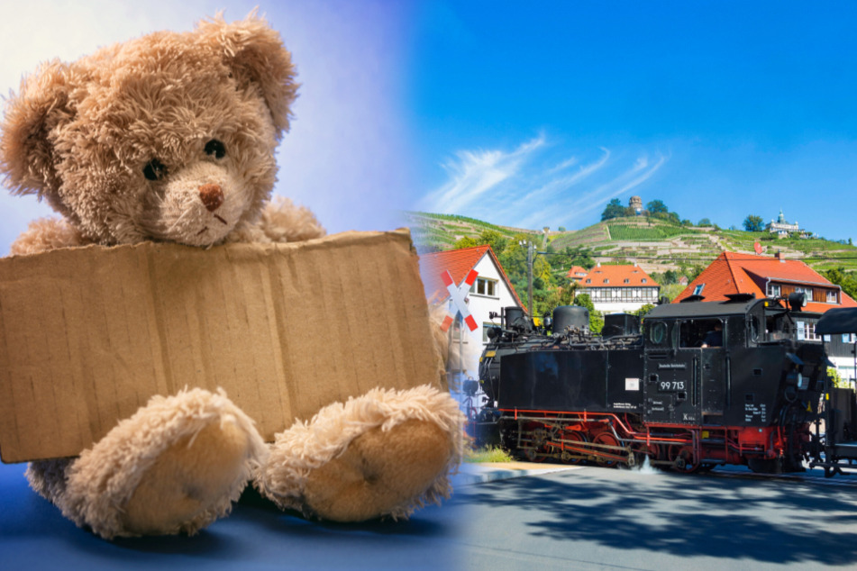 Teddy nicht vergessen, dann ist die Fahrt für Kinder umsonst.