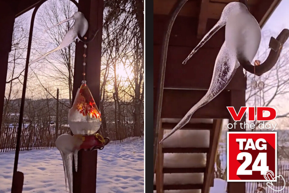 Today's Viral Video of the Day features a woman who found an icicle in the shape of a bird on her feeder!