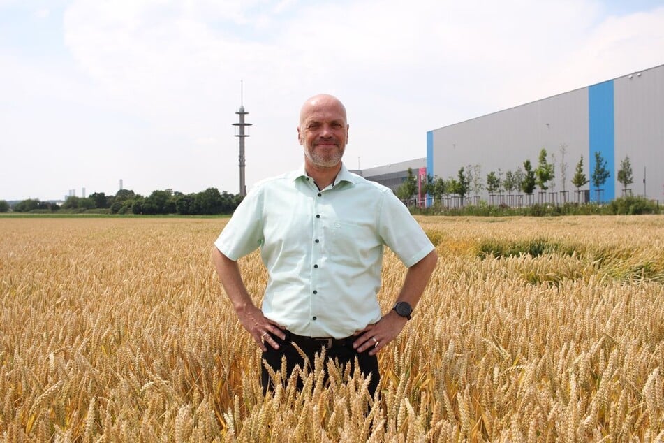 Grevenbroichs Bürgermeister Klaus Krützen (57, SPD) auf dem Grundstück, wo noch ein Weizenfeld ist . Künftig soll dort das Microsoft-Rechenzentrum stehen.