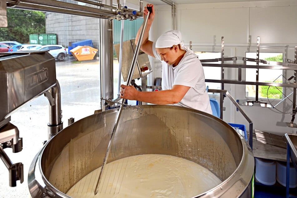 Die Milch von den Kühen landet über eine Leitung direkt im Milchkessel.