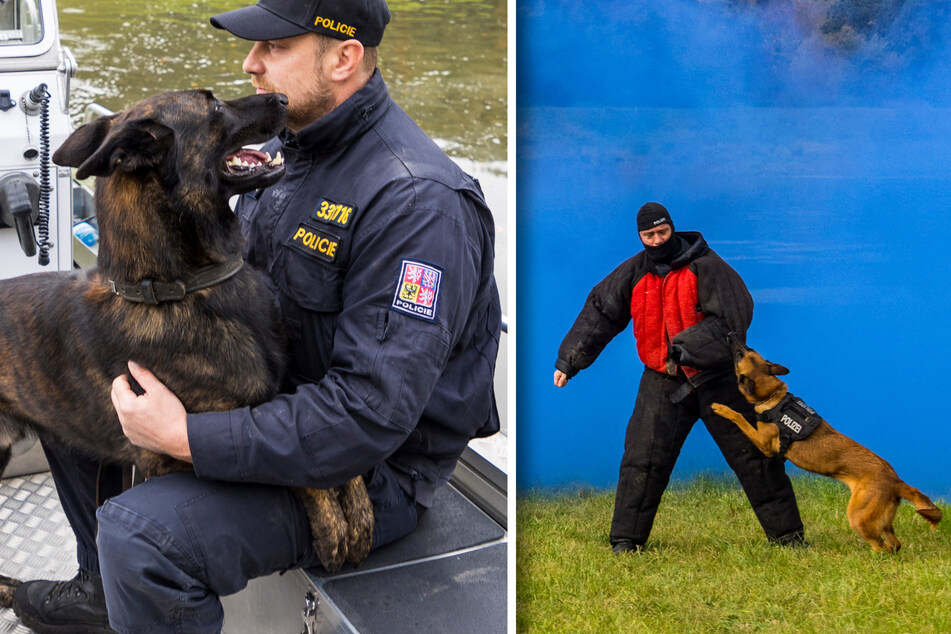 Im Kampf gegen Kriminelle: Polizei lässt die Hunde los!