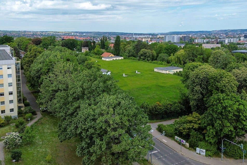 Der Volkspark Räcknitzhöhe in Plauen soll schöner werden.