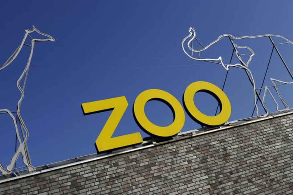 Der Kölner Zoo nimmt in einem Nachruf Abschied von seinem langjährigen Direktor.