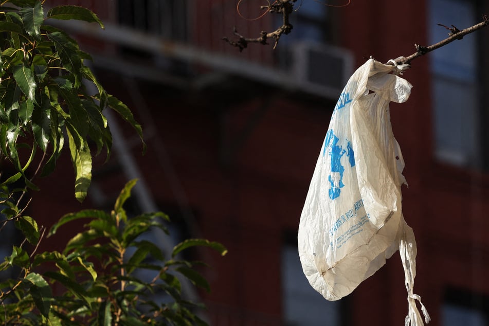 Statewide bans on plastic bags in the US have led to significant reductions in the number of bags found on beaches and waterways, according to a scientific analysis published Monday.