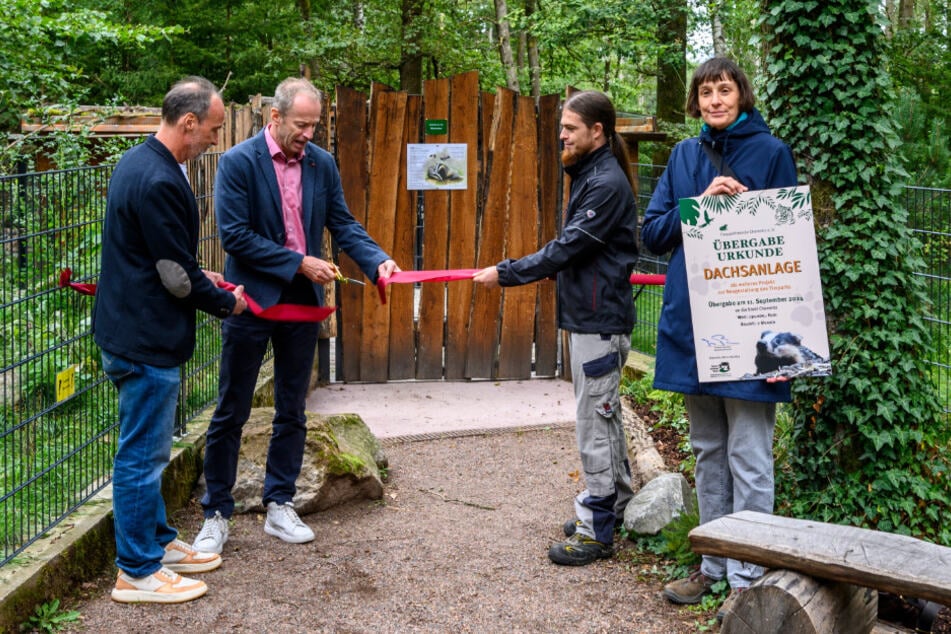 Ohne Unterstützung des Fördervereins hatte die Tierpark-Chefin kaum Möglichkeiten für Investitionen, wie dem neuen Dachsgehege im Wildgatter.