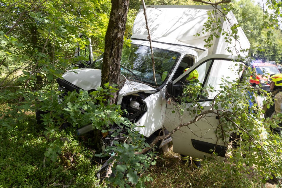 Gesundheitliche Probleme am Steuer: Transporter kracht auf Landstraße gegen Baum