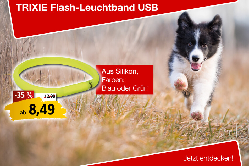 TRIXIE Flash-Leuchtband USB
