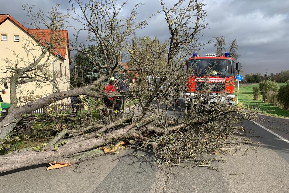 Durch die orkanartigen Böen werden Bäume entwurzelt und auf Autos, Häuser und Straßen geworfen, so wie am Donnerstag im Landkreis Leipzig.