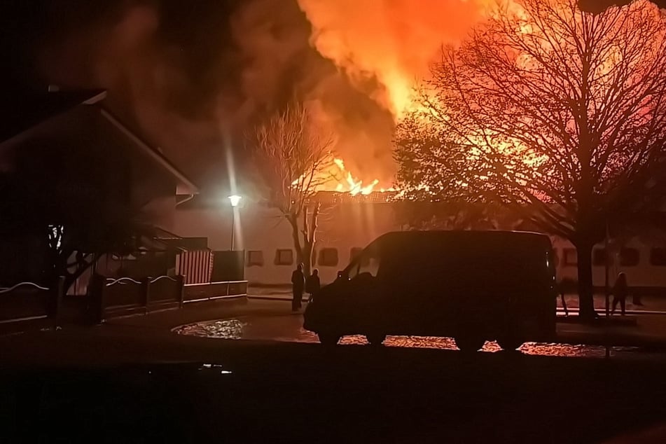 Ermittlungen zu Lagerhallen-Brand: Illegale Cannabis-Plantage vernichtet