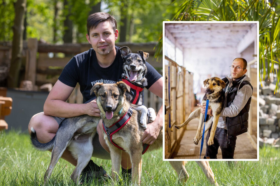 Chemnitz: Chemnitzer Hundetrainer rettet Haustiere aus der Ukraine