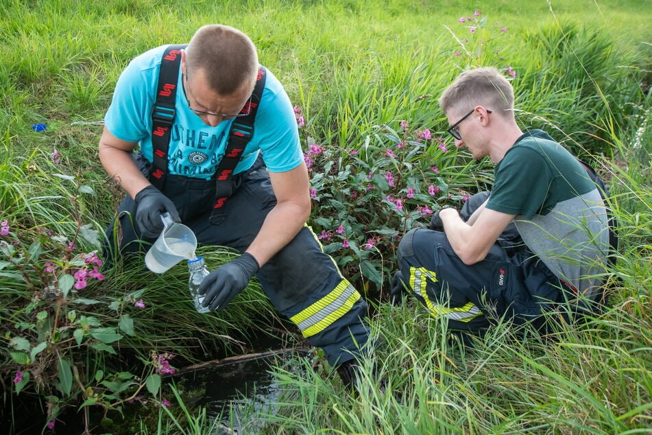 Kameraden der Freiwilligen Feuerwehr Niederneuschönberg entnehmen eine Probe aus dem Bach.