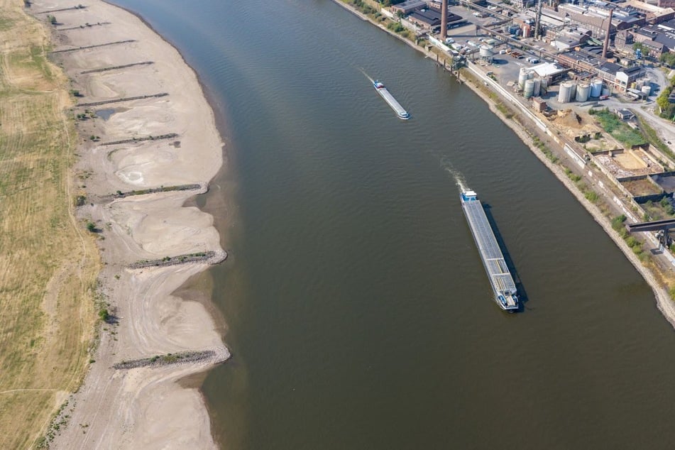 Zweiteilung des Rheins droht: Bundesverband schlägt Alarm