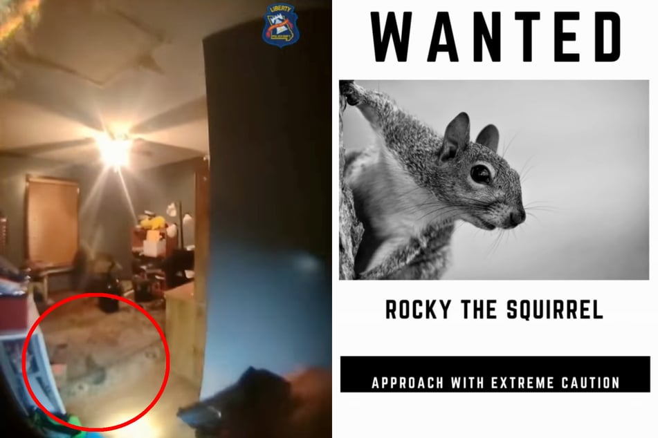 Ein Eichhörnchen löste den Einbruch-Alarm aus! Das Tier wurde von den Einsatzkräften "Rocky" genannt und zur "Fahndung" ausgerufen.