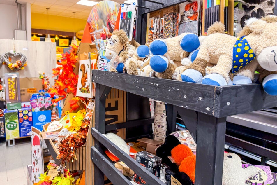 EDEKA legt ab Montag (5.10.) diese Schnäppchen in die Regale