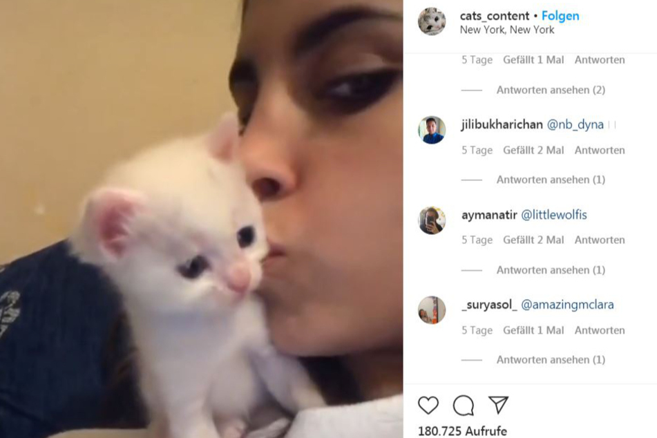 Fadwa Abbas (20) küsste ihr Kätzchen.