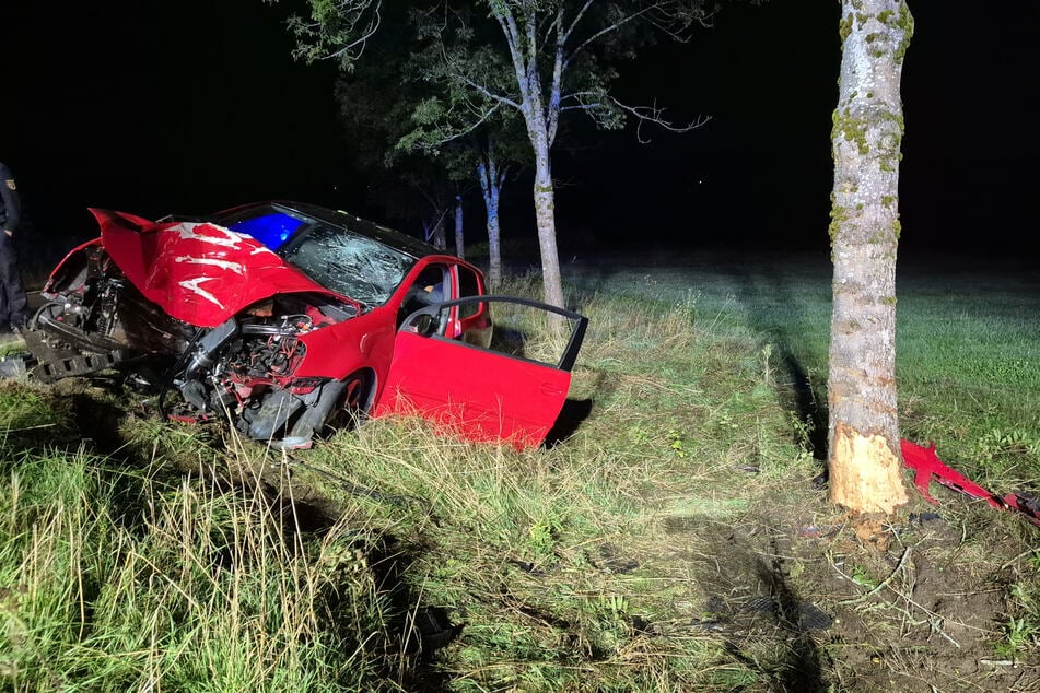 Das Auto kollidierte offenbar zunächst mit einem Wildtier und anschließend mit einem frontal mit einem Baum.