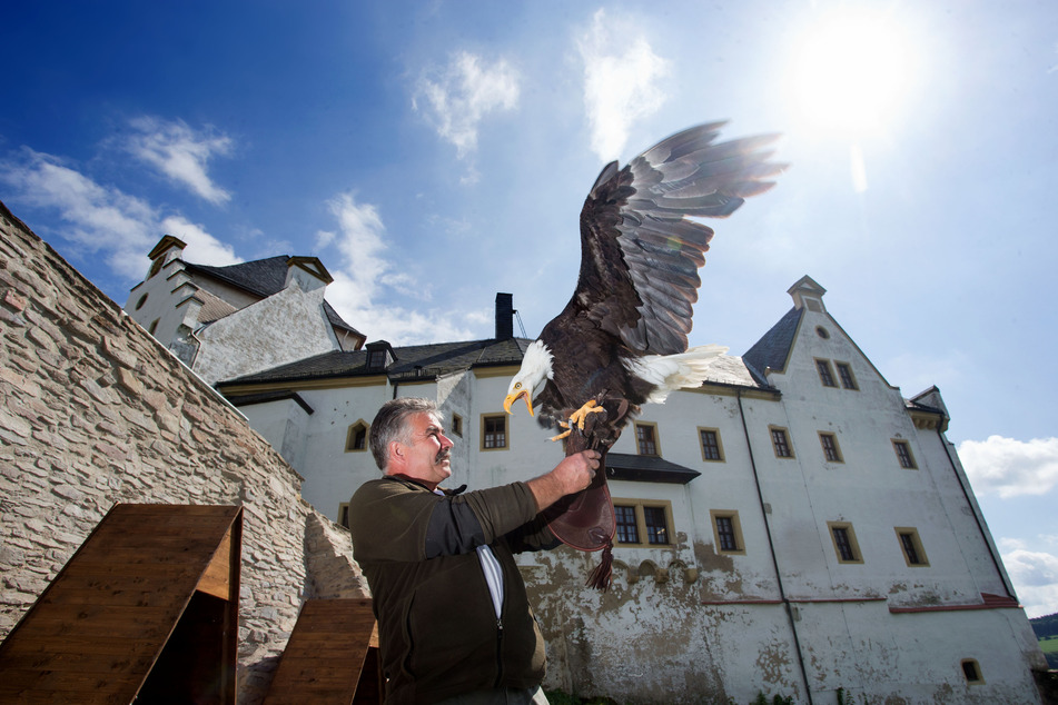 Auf Burg Wolkenstein könnt Ihr Greifvögel hautnah erleben.