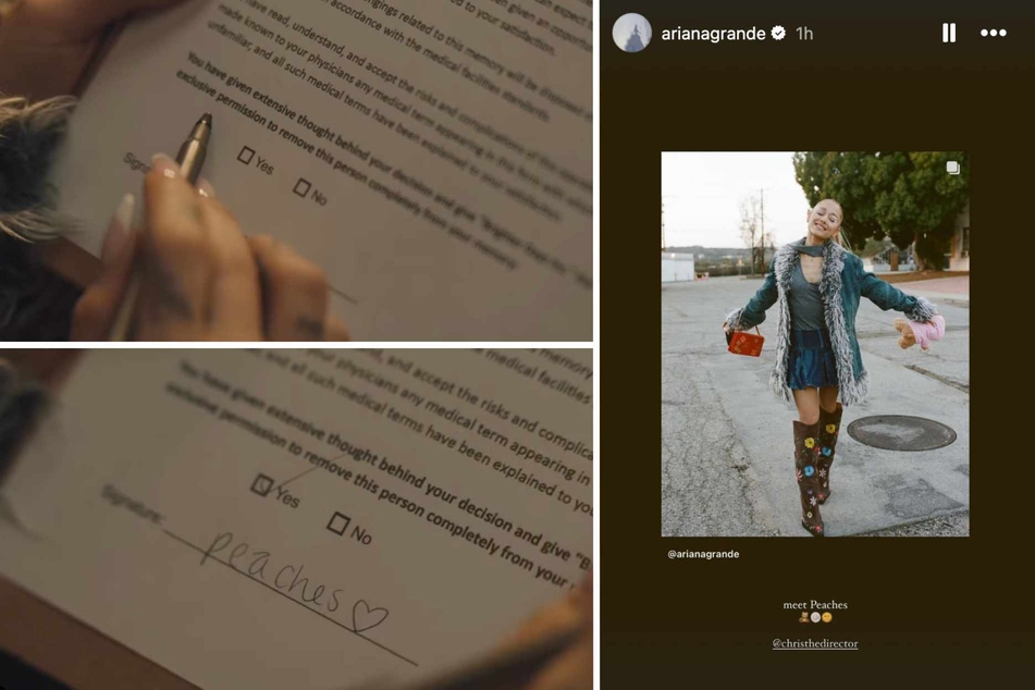 Ariana Grande's character pen hovers over the disclosure form's checkboxes for a moment as she decides, finally marking the "Yes" before signing the name Peaches.