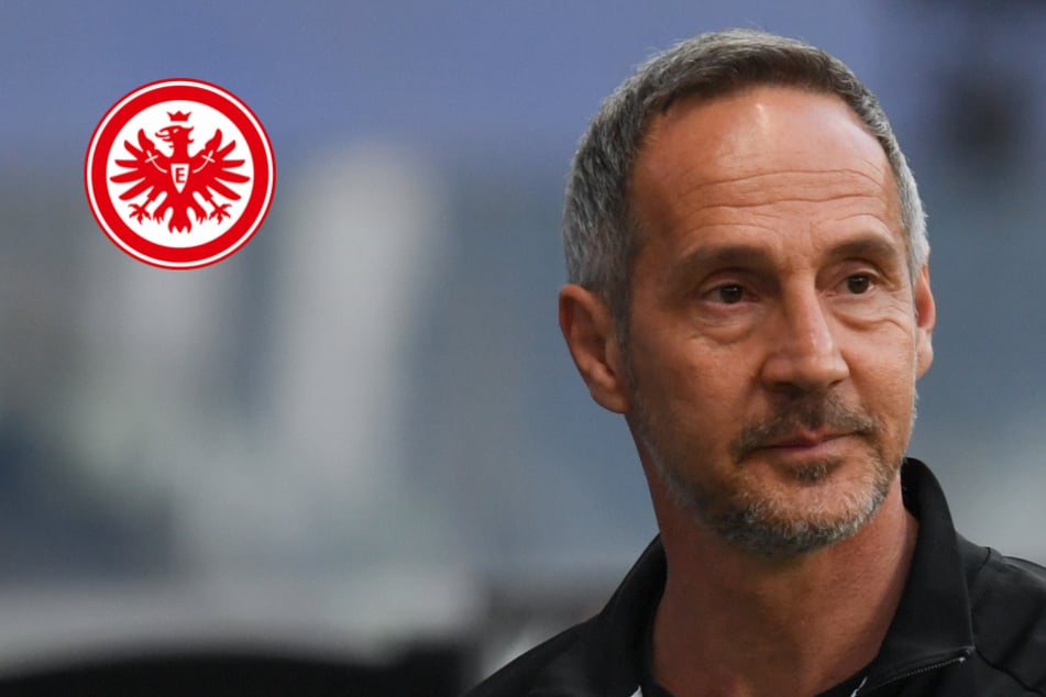 Geht jetzt alles ganz schnell? Trainer-Entscheidung bei der Eintracht wohl gefallen