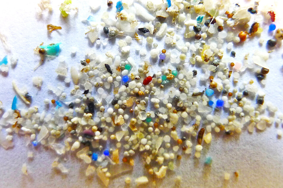 Mikroplastikkügelchen liegen auf einem Blatt Papier. Die kleinen Plastikteilchen mit einer Größe unter 5 Millimetern verschmutzen die Meere und werden noch immer in Kosmetika verarbeitet.